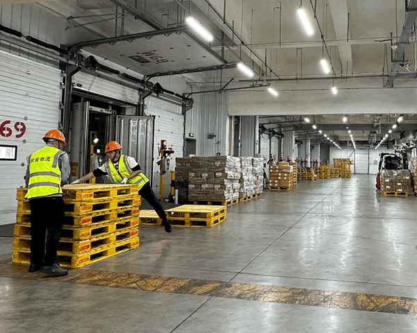 Cold Chain -Frozen Meat