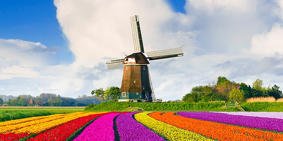 1723303455225924.jpg 1723303455225924.jpg