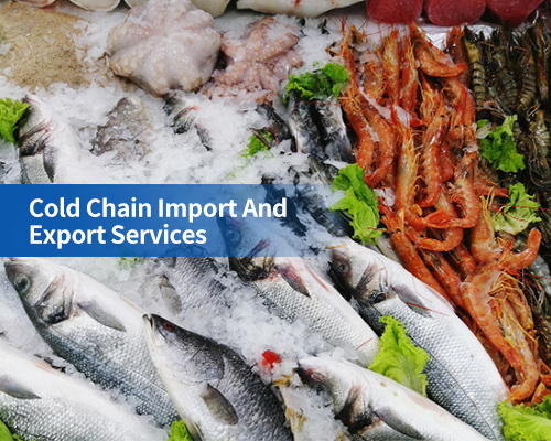 Cold Chain Import And Export Services